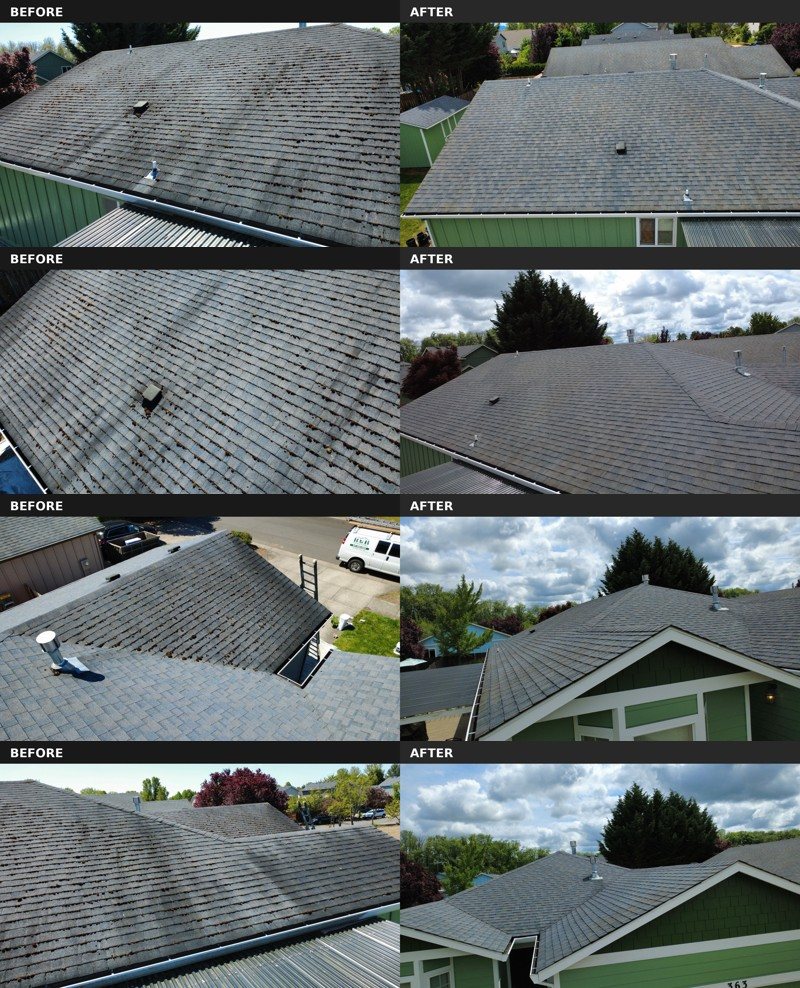 Roof moss treatment before and after